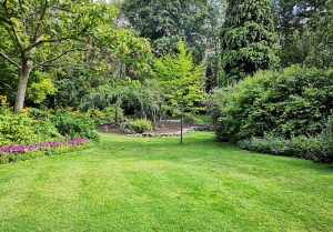 Optimiser l'expérience du jardin à Castelnau-de-Mandailles